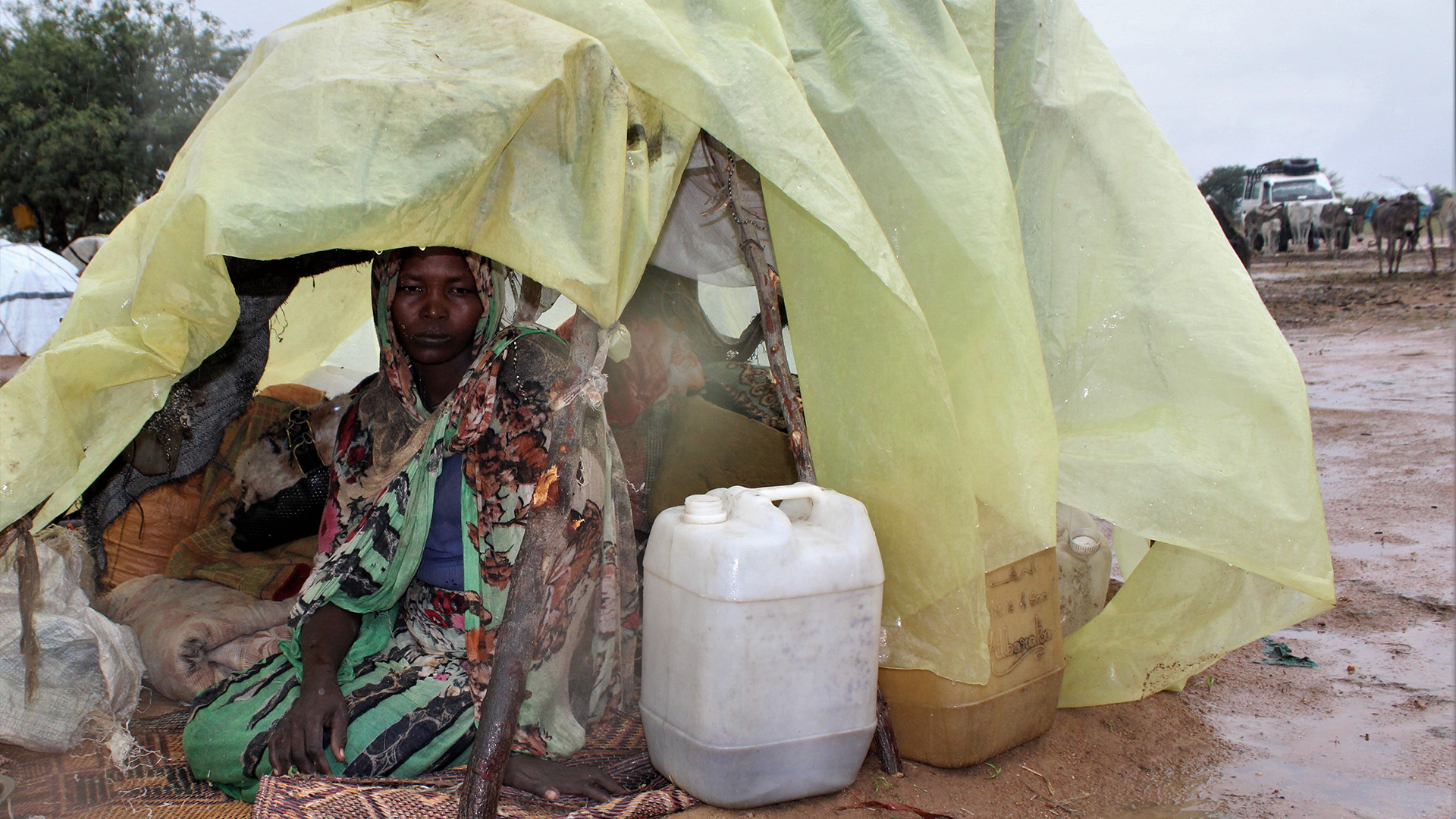 Gifts from Retirement Plans